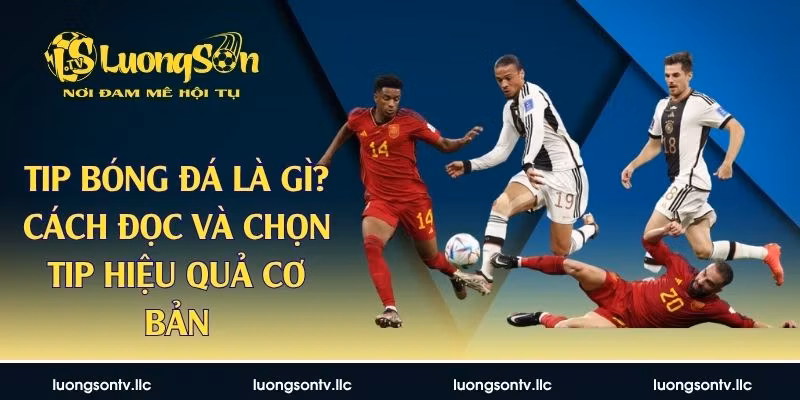 Tip Bóng Đá Là Gì? Cách Đọc Và Chọn Tip Hiệu Quả Cơ Bản